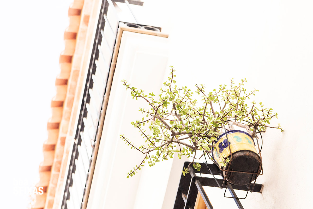 Fotografía callejera realizada por Bea López Seijas. Fotos de las calles de Sitges, población del Mediterráneo. Muestra fotografías de puertas, plantas, ventanas y edificios típicos