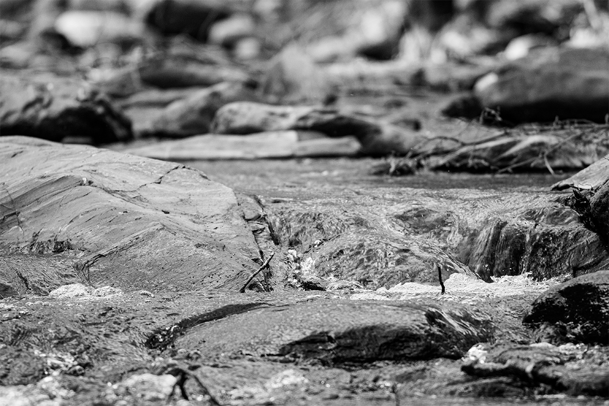 textura de agua y rocas de rio en el montseny
